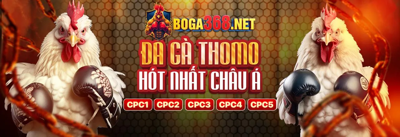 Hình ảnh chính blog 365bet với các yếu tố cá cược trực tuyến và giải trí sống động