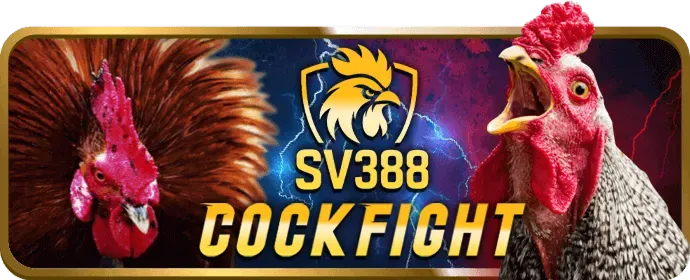 Đồ họa sống động 365bet